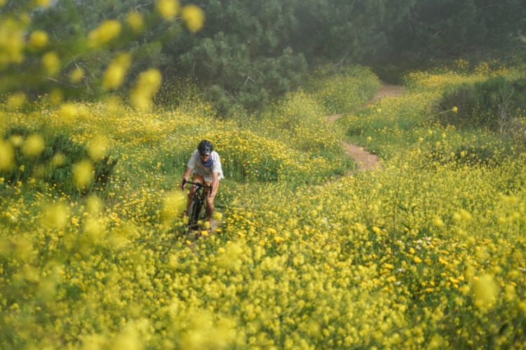 Afvallen en wielrennen: hoe pak je dat aan?